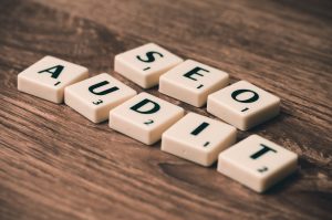 seo audit for new bloggers